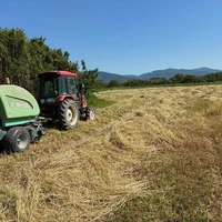 画像259