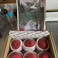 画像279