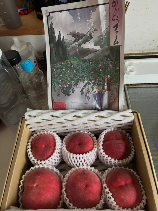 画像279