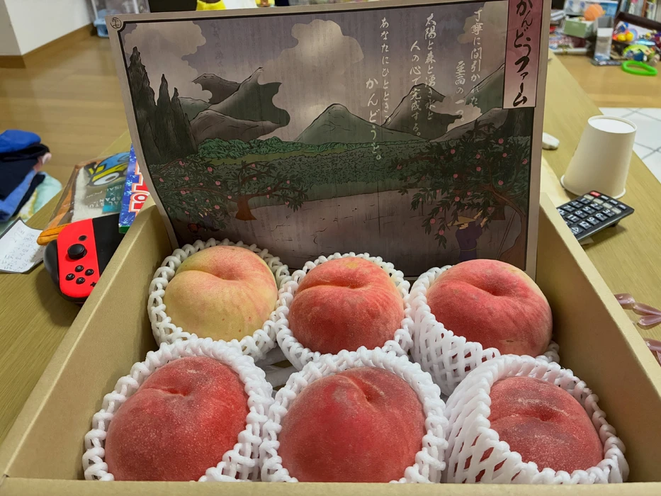 画像286
