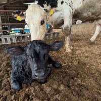 画像299