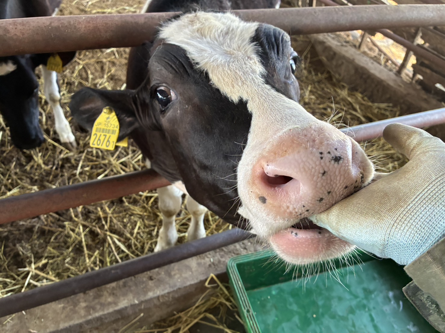 動物好きが集まる職場